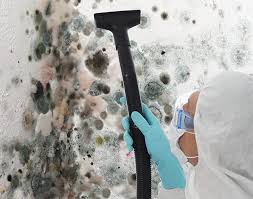 Reliable Arkansas City, KS Mold Removal & Remediation Solutions